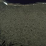 Arctic tundra under a wide sky