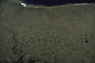 Arctic tundra under a wide sky