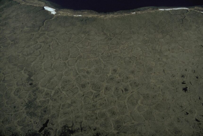 Arctic tundra under a wide sky